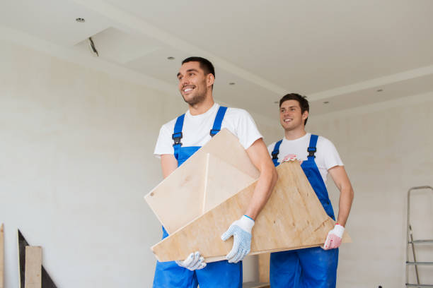 Best Yard Waste Removal  in Springfield, MI