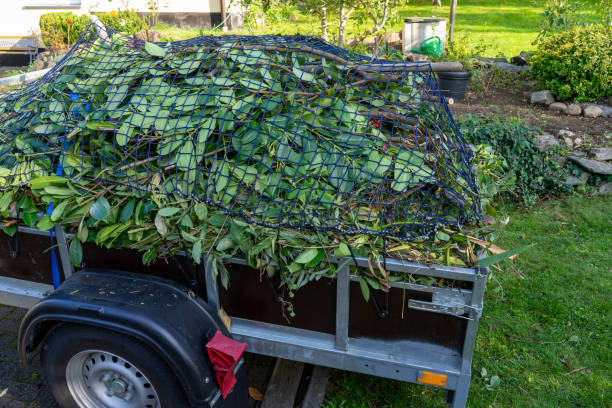 Best Scrap Metal Removal  in Springfield, MI